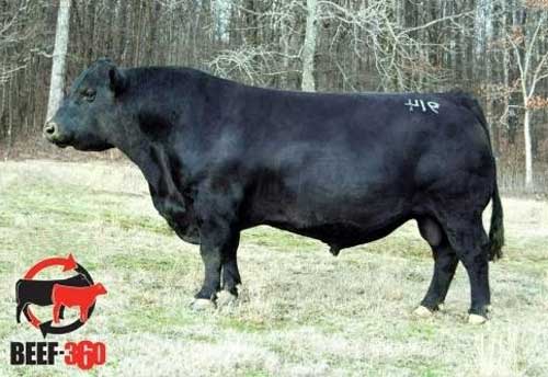 PieceHill✳︎ S-Pure-Power.jpg