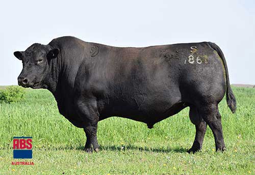 S-Right-Time-7861-June-2022-